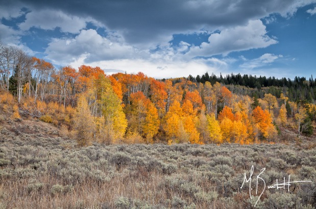 Grand Teton National Park is always an amazing place to spend time, however fall can be even more magical as the trees change color and the temperature dips at night. 2012 was a very dry year across the country and much of the tree around GTNP were a duller yellow and very dry, but there a couple special places in the park that didn't get the 'it's been a dry year' message. I visited this spot several times, however my favorite was the first afternoon where a few thunderstorms had moved through wetting the leaves and making for a dynamic sky.