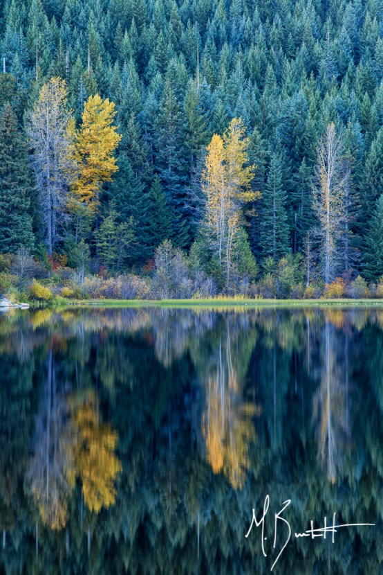 Trillium_Lake_Reflection_Fall_Color_119