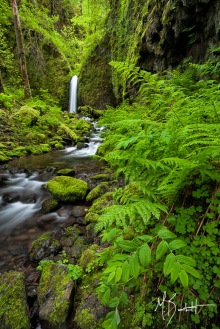 Mossy Grotto Falls: One of hundreds of waterfalls to explore in the Columbia River Gorge
