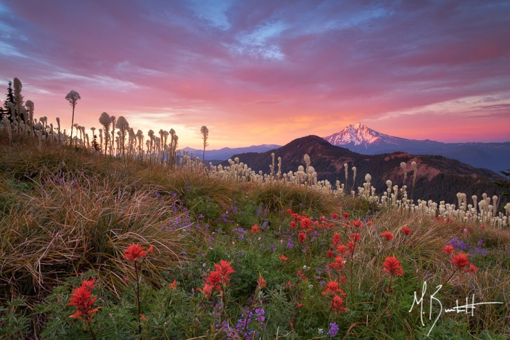 Sunset at Coffin Mountain with alpenglow on Mount Jefferson