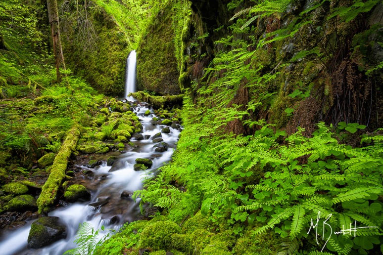 Verdant Mossy Grotto - This off trail waterfall is one of the best hidden gems I've ever had the experience to photograph.