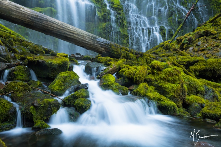 Proxy Falls - My favorite study in photographing a waterfall.