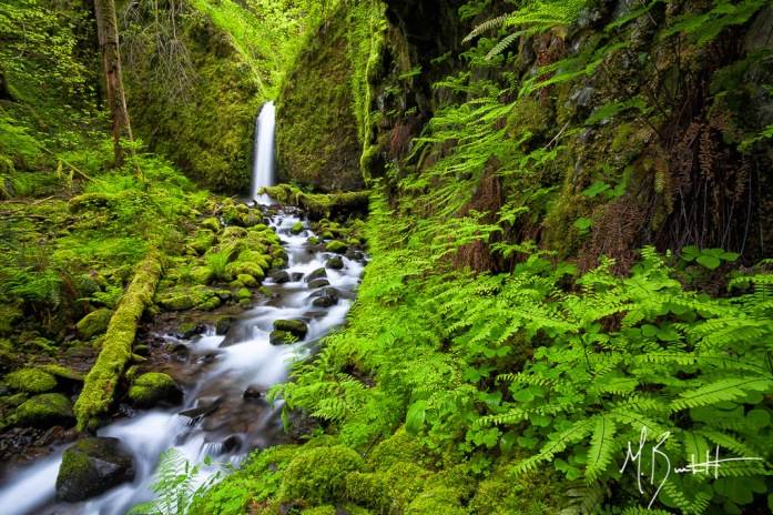 Mossy Grotto Falls, as it's fondly referred to as, is a verdant green waterfall tucked away snugly in small canyon of the Columbia River Gorge. This was my "white whale' for 2014. I set out to explore this part of the Gorge in 2013, but had poor luck in finding it. I set out to find this spot in 2014 and I was blessed enough to find it and spent a morning all alone photographing it. If you do happen to stumble upon this hidden gem, please be very respectful of the area due to it's delicate nature.